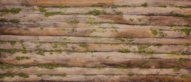 BAOBAB MOSS DEKORATİF AHŞAP DUVAR PANELİ - 1