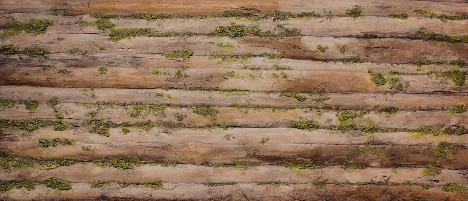 BAOBAB MOSS DEKORATİF AHŞAP DUVAR PANELİ - 1