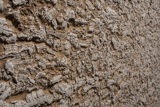 CORK OAK MANTAR DUVAR PANELİ - 2