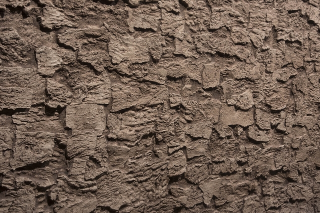 CORK QUERCUS MANTAR DUVAR PANELİ - 2