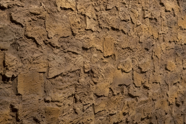 CORK QUERCUS MANTAR DUVAR PANELİ - 4