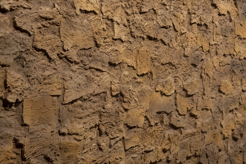 CORK QUERCUS MANTAR DUVAR PANELİ - 4