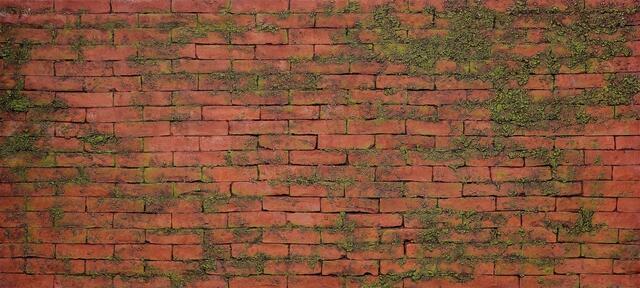 MASONRY MOSS DEKORATİF TUĞLA DUVAR PANELİ